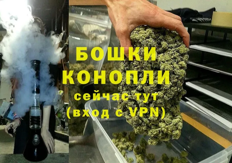 Конопля THC 21%  где купить наркоту  Ветлуга 